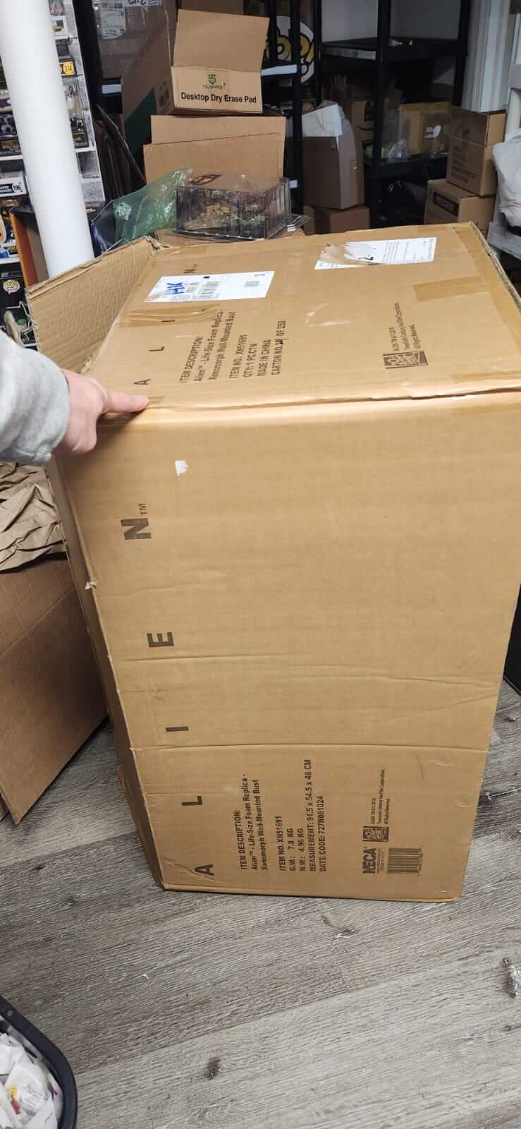 NECA: Alien - Placa de Xenomorph Trophy - Image 4